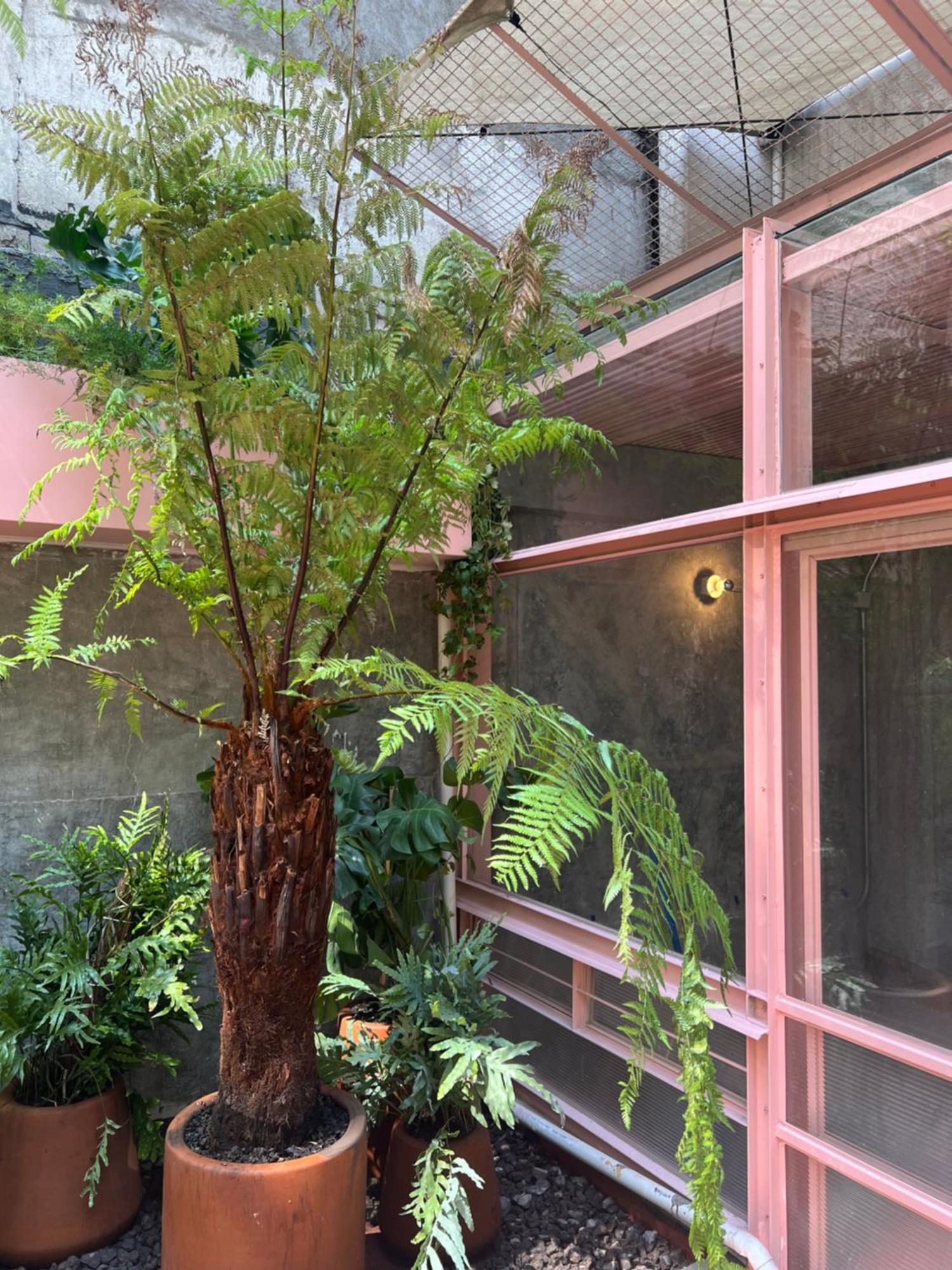 Appart hôtel Xolo *
